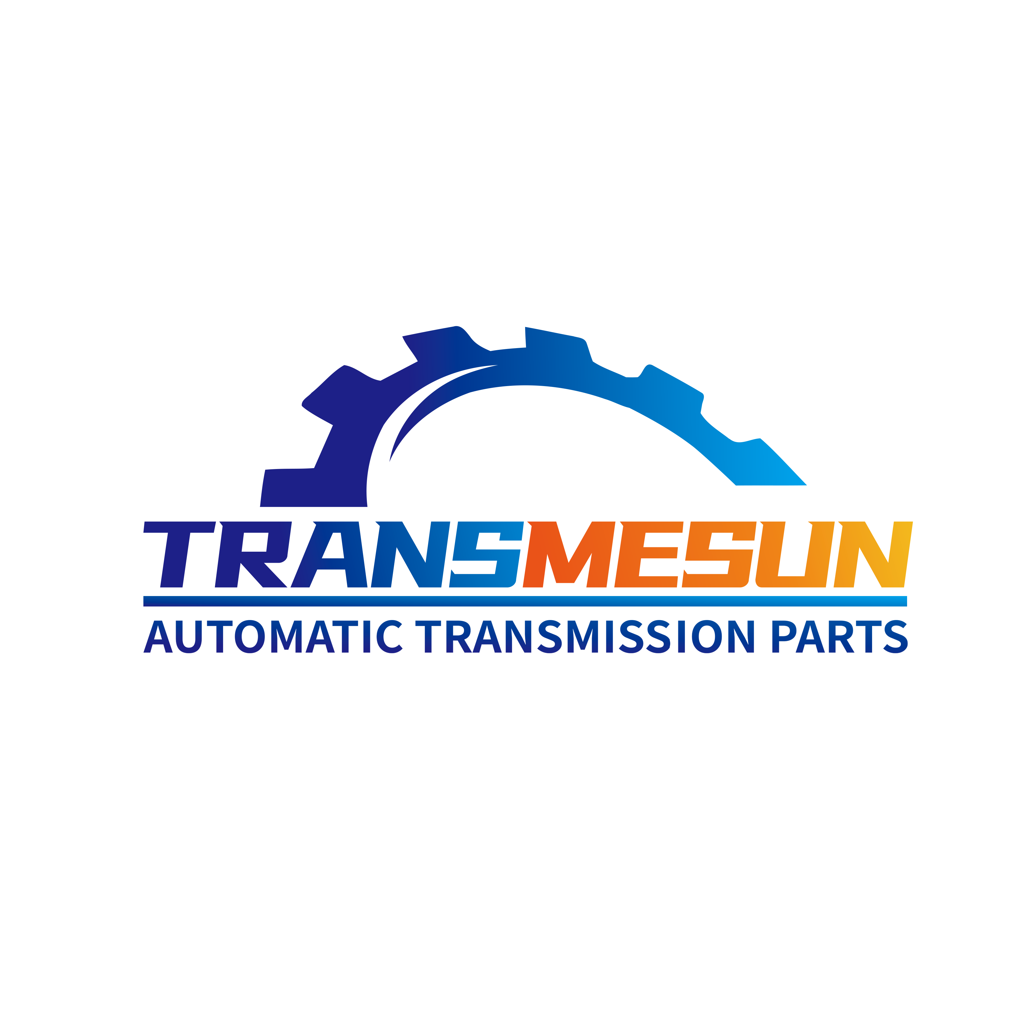 TRANSMESUN logo